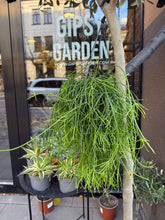 Translation missing: lt.sections.featured_product.gallery_thumbnail_alt