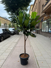 Translation missing: lt.sections.featured_product.gallery_thumbnail_alt