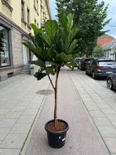 Translation missing: lt.sections.featured_product.gallery_thumbnail_alt