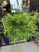 Translation missing: lt.sections.featured_product.gallery_thumbnail_alt