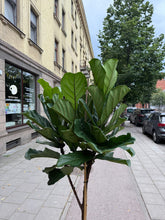 Translation missing: lt.sections.featured_product.gallery_thumbnail_alt