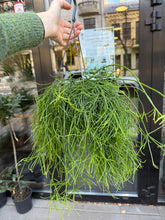 Translation missing: lt.sections.featured_product.gallery_thumbnail_alt