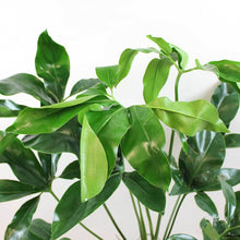 Translation missing: lt.sections.featured_product.gallery_thumbnail_alt