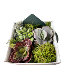 Translation missing: lt.sections.featured_product.gallery_thumbnail_alt