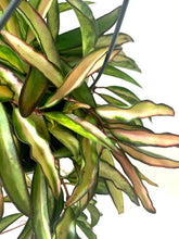 Translation missing: lt.sections.featured_product.gallery_thumbnail_alt