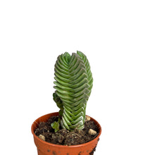 Translation missing: lt.sections.featured_product.gallery_thumbnail_alt