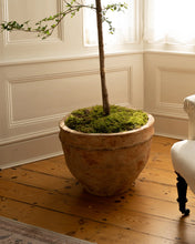 Translation missing: lt.sections.featured_product.gallery_thumbnail_alt