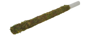 Moss pole 30mm 80cm