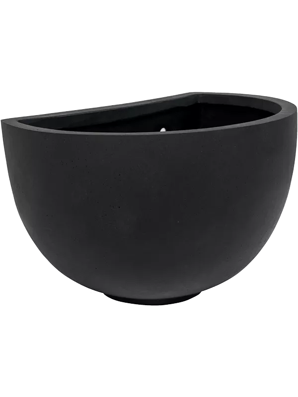 Natural Wally Peter M Black