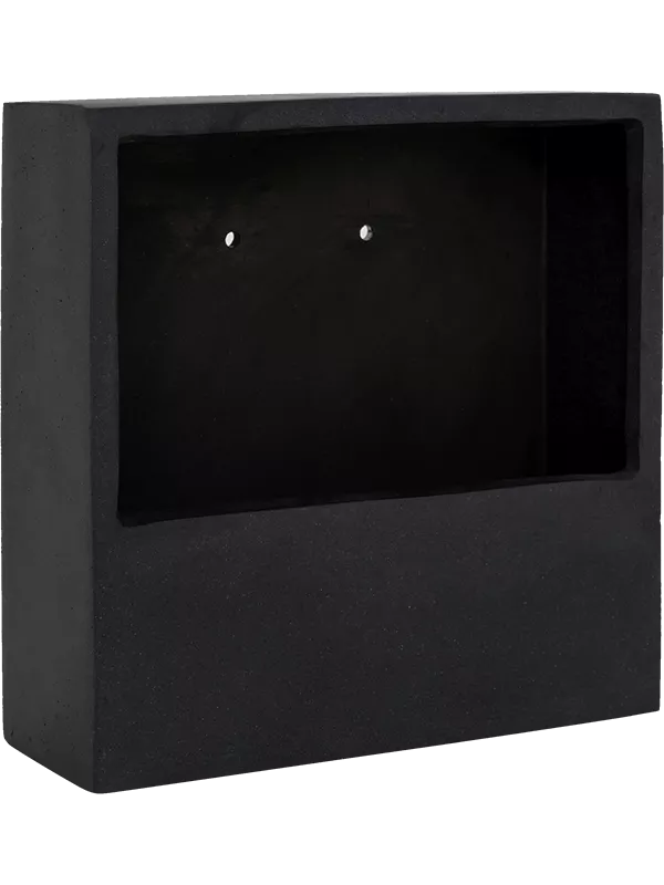 Natural Wally Jack XS Black