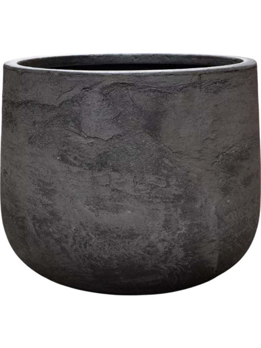 Baq Algar Darcy Grey