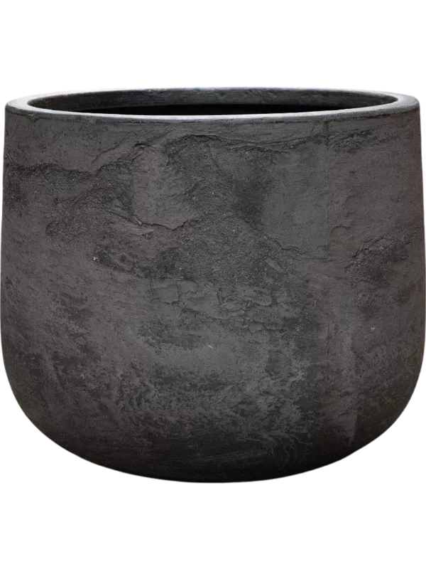 Pilka spalva Baq Algar Darcy Grey