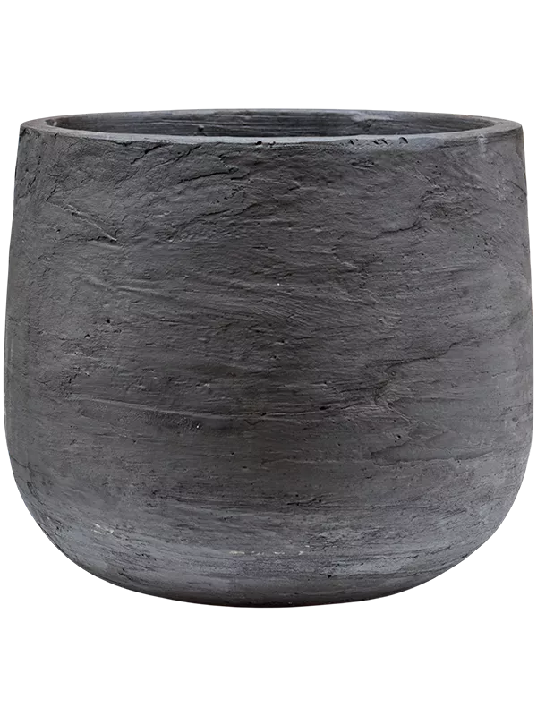 Pilka spalva Baq Algar Darcy Grey