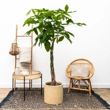 Translation missing: lt.sections.featured_product.gallery_thumbnail_alt