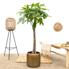 Translation missing: lt.sections.featured_product.gallery_thumbnail_alt