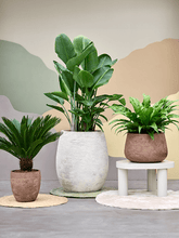 Translation missing: lt.sections.featured_product.gallery_thumbnail_alt