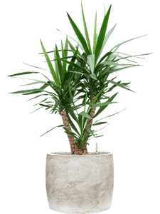 Baq Algar Barrel White 41Ø 33cm