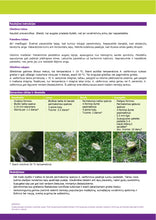 Translation missing: lt.sections.featured_product.gallery_thumbnail_alt