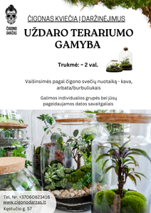 Daržinėjimai - Uždaro Florariumo/Terariumo gamyba