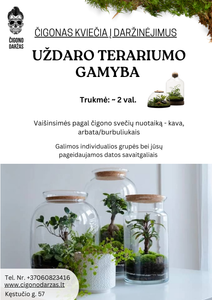 Daržinėjimai - Uždaro Florariumo/Terariumo gamyba