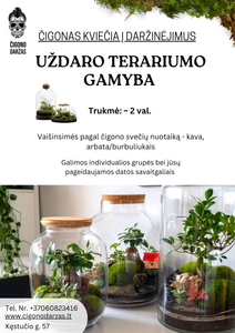 Daržinėjimai - Uždaro Florariumo/Terariumo gamyba