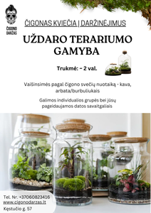 Daržinėjimai - Uždaro Florariumo/Terariumo gamyba