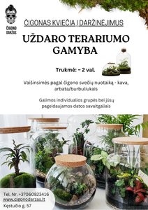 Daržinėjimai - Uždaro Florariumo/Terariumo gamyba