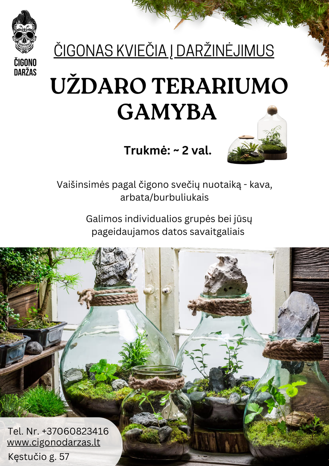 Daržinėjimai - Uždaro Florariumo/Terariumo gamyba