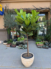 Translation missing: lt.sections.featured_product.gallery_thumbnail_alt