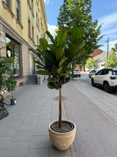 Translation missing: lt.sections.featured_product.gallery_thumbnail_alt