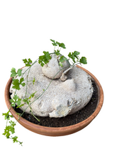 Translation missing: lt.sections.featured_product.gallery_thumbnail_alt