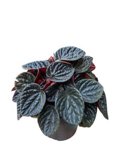 Translation missing: lt.sections.featured_product.gallery_thumbnail_alt