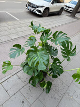 Translation missing: lt.sections.featured_product.gallery_thumbnail_alt
