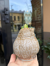 Translation missing: lt.sections.featured_product.gallery_thumbnail_alt