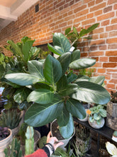 Translation missing: lt.sections.featured_product.gallery_thumbnail_alt