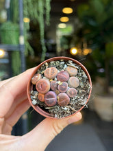 Translation missing: lt.sections.featured_product.gallery_thumbnail_alt