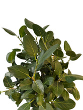 Translation missing: lt.sections.featured_product.gallery_thumbnail_alt