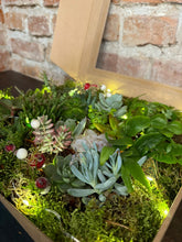 Translation missing: lt.sections.featured_product.gallery_thumbnail_alt