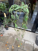 Translation missing: lt.sections.featured_product.gallery_thumbnail_alt