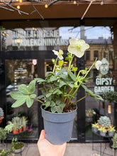 Translation missing: lt.sections.featured_product.gallery_thumbnail_alt