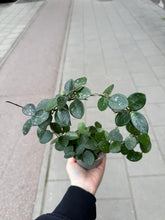 Translation missing: lt.sections.featured_product.gallery_thumbnail_alt