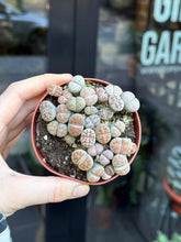 Translation missing: lt.sections.featured_product.gallery_thumbnail_alt