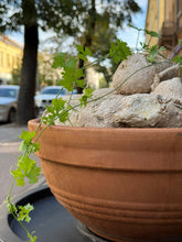 Translation missing: lt.sections.featured_product.gallery_thumbnail_alt