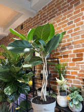 Translation missing: lt.sections.featured_product.gallery_thumbnail_alt