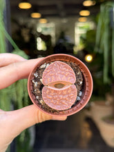 Translation missing: lt.sections.featured_product.gallery_thumbnail_alt