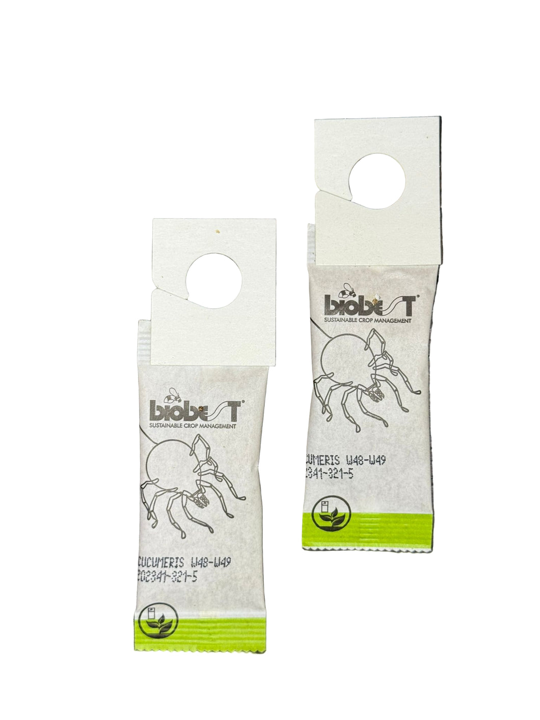 Nuo tripsų Amblyseius cucumeris plėšri erkė 100vnt/50 000 erkių