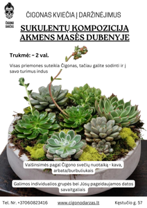 Daržinėjimai - Sukulentų kompozicija akmens masės dubenyje