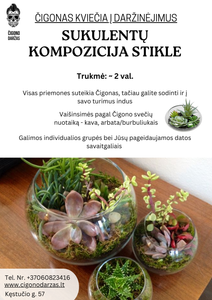 Daržinėjimai - Sukulentų kompozicija stikliniame inde