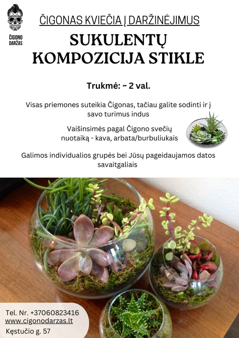 Daržinėjimai - Sukulentų kompozicija stikliniame inde