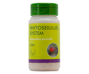 Phytoseiulus-System – 2.000 (100 ml)